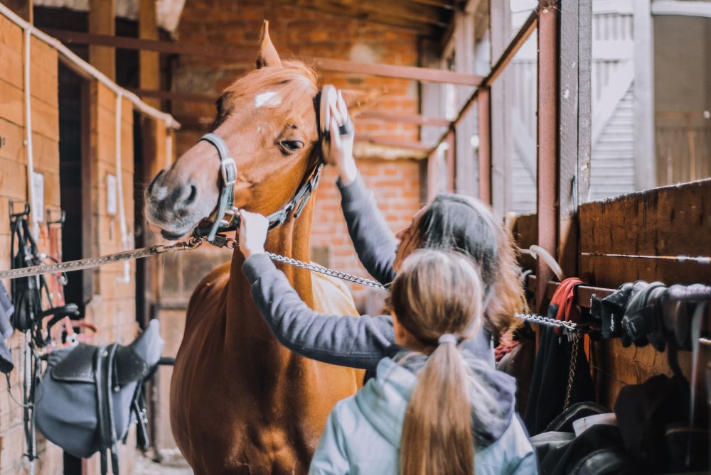 Kompletta stall är en bekväm lösning för både häst och skötare