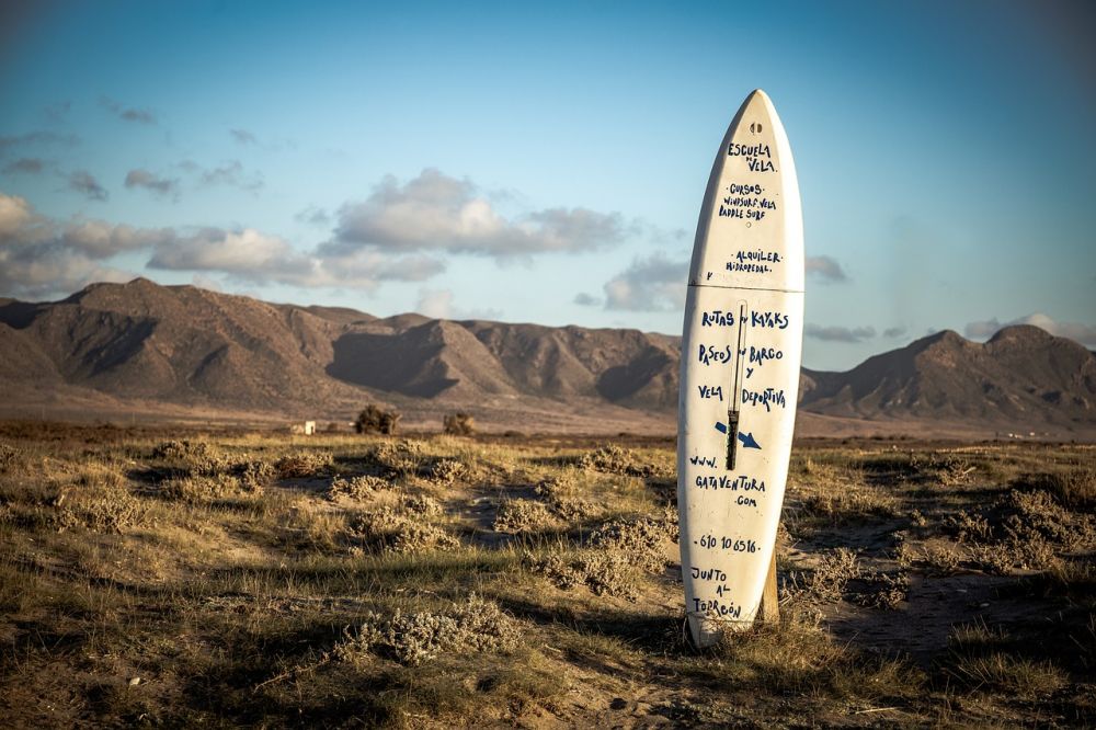 Surfcamp  en aktiv semester fylld av vågor, gemenskap och utveckling